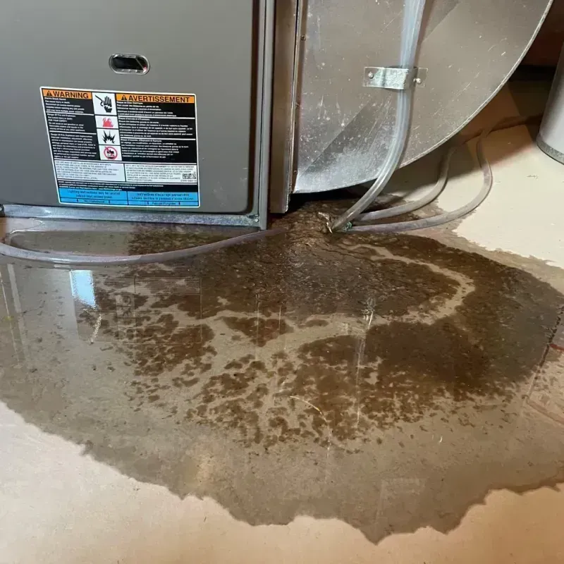 Appliance Leak Cleanup in Livingston, NJ